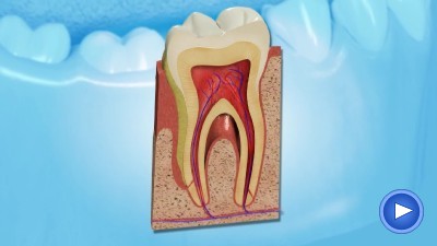 WebPakOnline Gum Disease